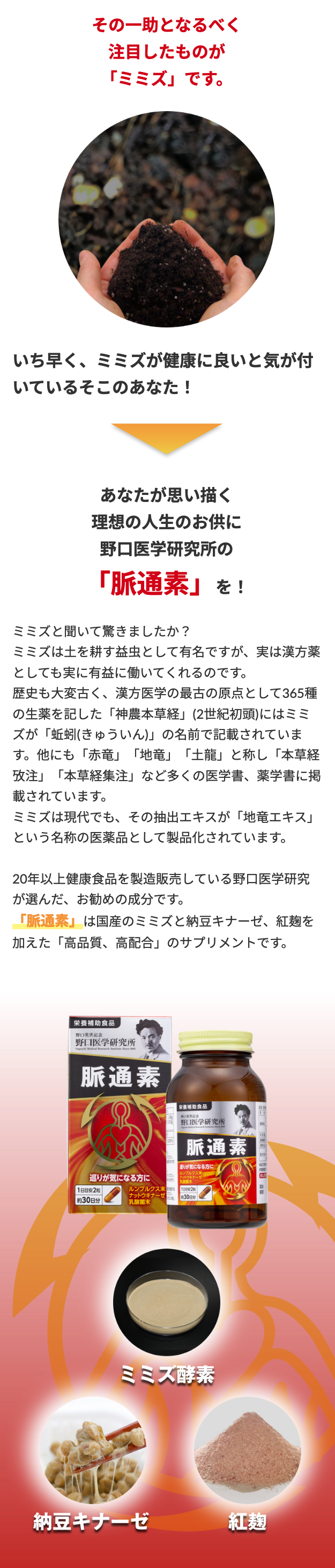 野口医学研究所 10個お得 脈通素 30粒/個 新品 未開封 未使用 国内正規品