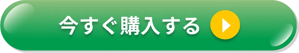 今すぐ購入する