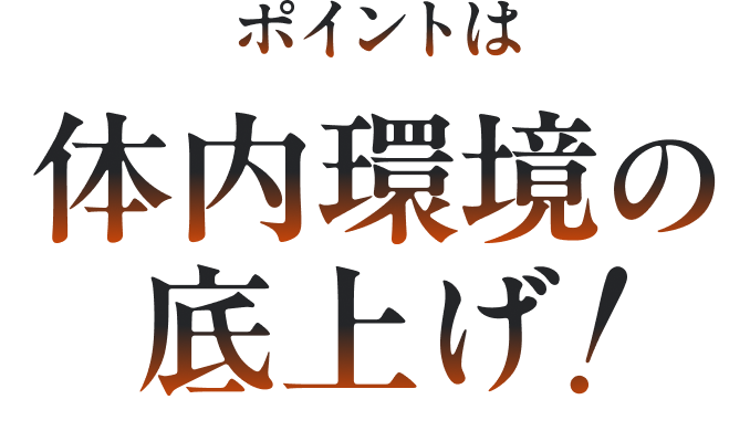 ポイントは体内環境の底上げ!